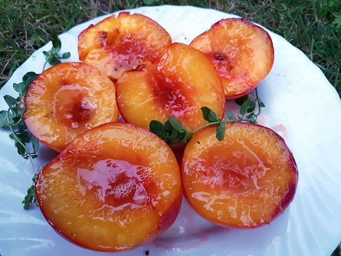 makrobiotika_grillezett_nektarin