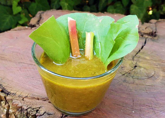 Nyári gyümölcsök tartósítása: rebarbara lekvár