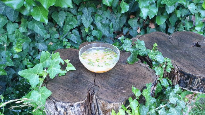 Édes Zöldséges köles leves 2 főre