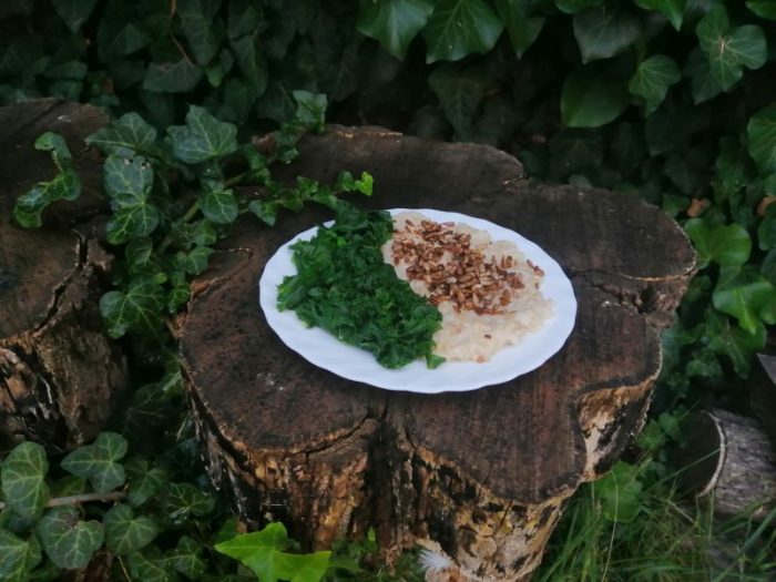 Pirított napraforgó mag