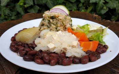 Makrobiotikus Buddha tál